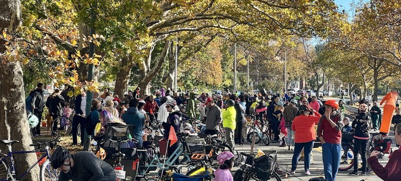 A large crowd of people gather along a road with leaves changing colors on the trees nearby.